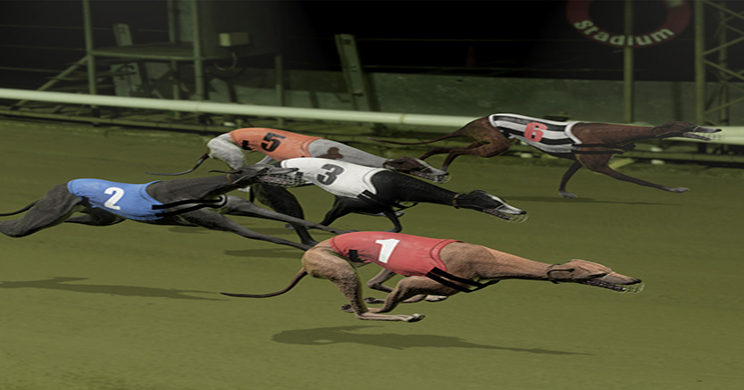 Virtual greyhound racing Playtech-slot